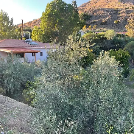 Evie's House Villa *