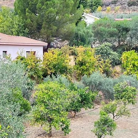 Evie's House Villa *
