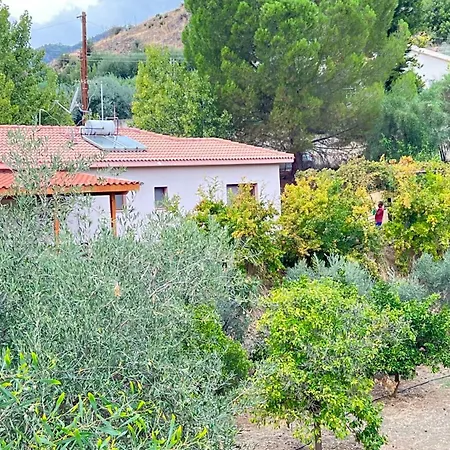 Villa Evie's House