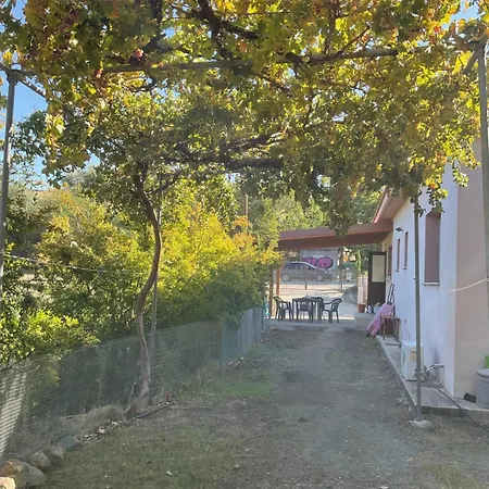 Evie's House Arakapas