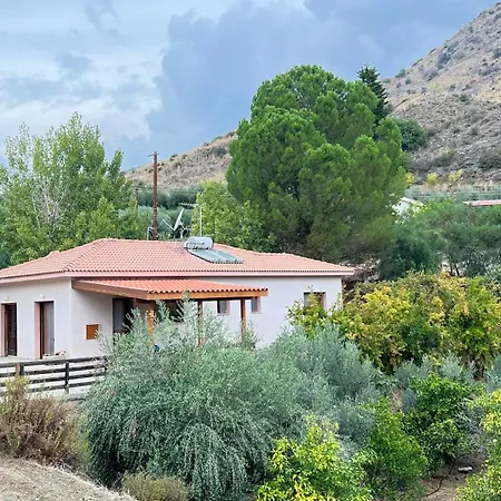 Evie's House * Αρακαπάς