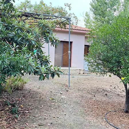 Evie's House