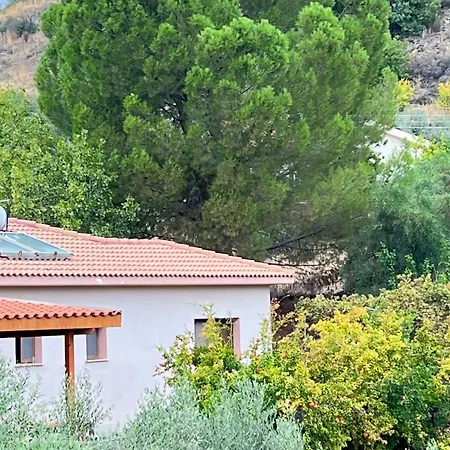 Evie's House Arakapas