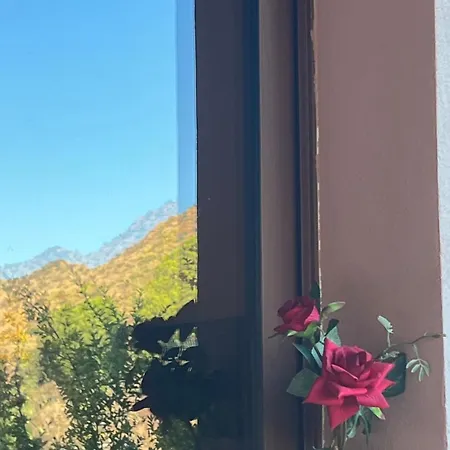 Evie's House * Αρακαπάς