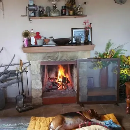 Villa Evie's House